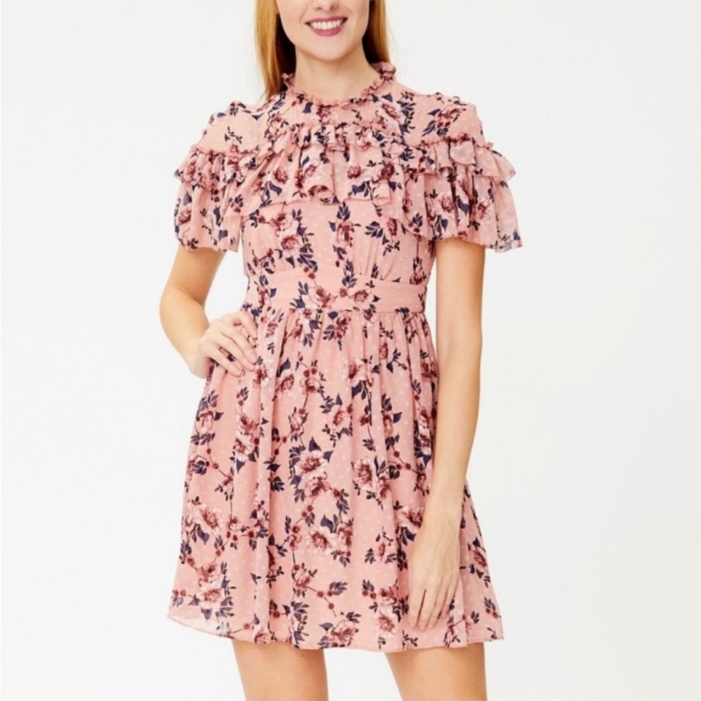 Kate Spade out west Prairie rose clip mini dress size 12